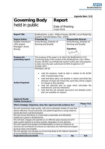 11.0 local maternity system